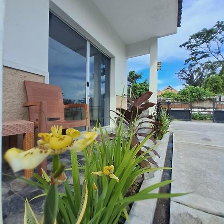 Robiu Bed & Breakfast بانيووانجى المظهر الخارجي الصورة